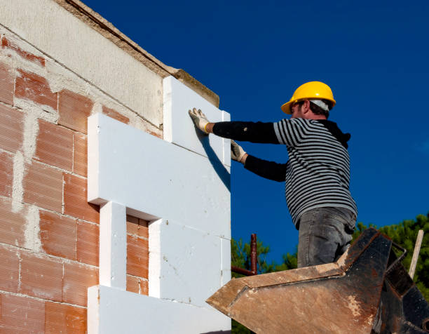 Best Insulation Maintenance and Repair in Tiptonville, TN
