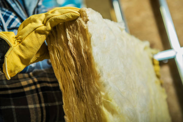 Best Spray Foam Insulation in Tiptonville, TN