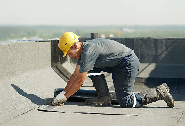 Best Cellulose Insulation in Tiptonville, TN