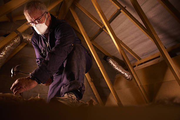 Best Eco-Friendly Insulation in Tiptonville, TN