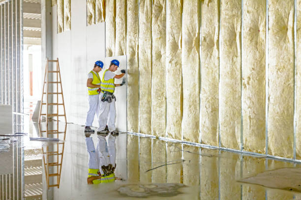 Best Blown-in Insulation in Tiptonville, TN